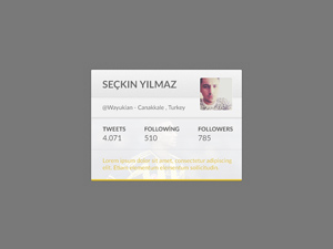 Twitter Widget