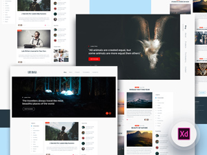 2 Blog Homepage XD Resource