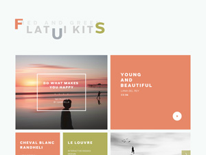 Orange And Green Flat UI Kit