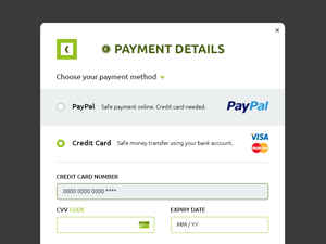 Payment Details