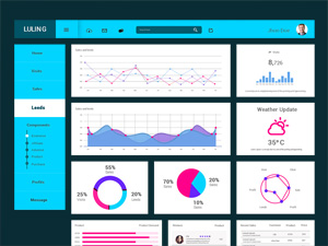 Dashboard UI
