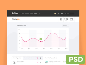 Dribbble Dashboard Concept