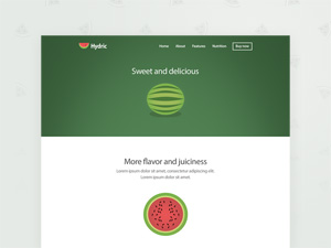 Hydric Landing Page