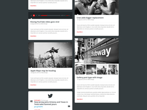 Blog Template | Aniva