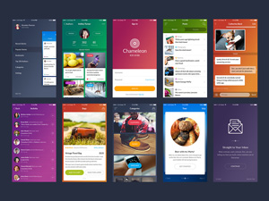 Chameleon UI