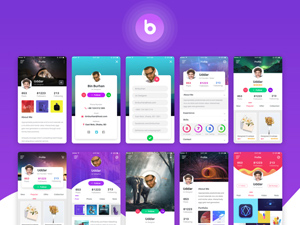 Bas UI Kit