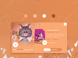 CatFood Modal Design