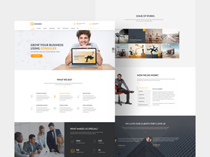 Consulex Free UI Kit & Web Theme