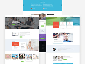 Consultancy Website Template