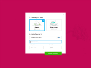 Credit Card Checkout