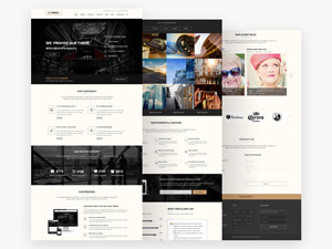 Multi Purpose Business Template