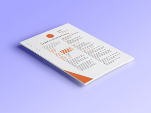 Plantilla CV