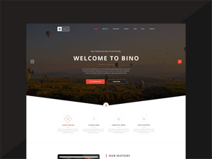 Bino Landing Page Template