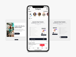 Instagram Template Package | Dingo