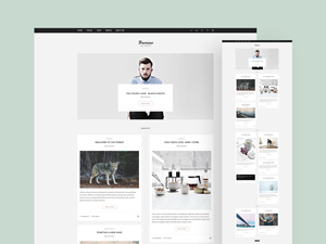 Damiao Blog Template