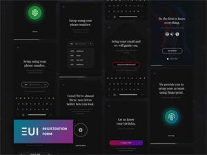 EUI Registration Walkthrough UI