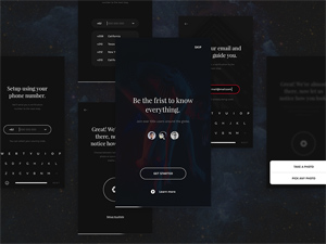 EUI Sign In / Up Forms