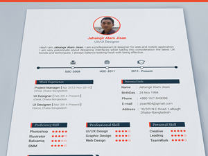 3 Resume Template