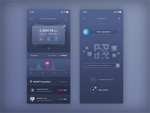 Finance Wallet & Add Funds iOS App Template