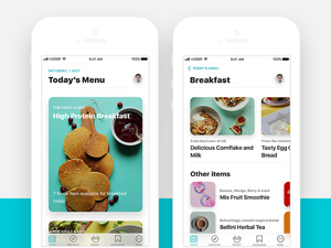 Food App Light Version