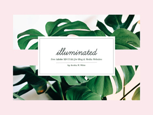 Blog & Media Website UI Kit For Adobe XD