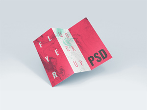Brochure / Flyer Mockup