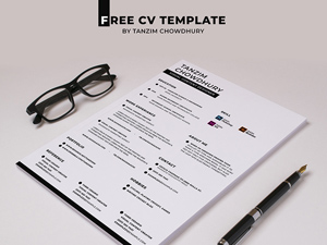 CV Template For Interviews