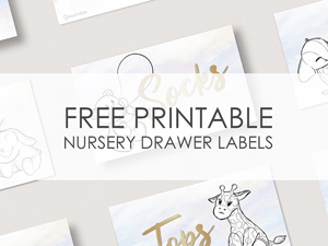 Printable Drawer Label