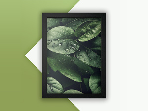 Photo Frame Mockup