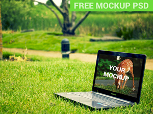 Laptop Notebook In The Park