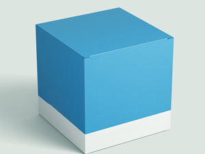 Packaging Box Mockup