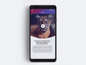 Mobile Article Design