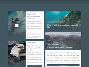 Blogant Blog & Magazine UI Kit