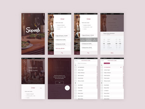Superb iOS Booking App