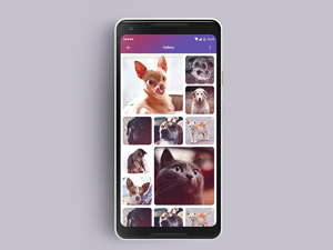 Mobile Camera Gallery Design