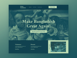 Non Profit Website Template Concept