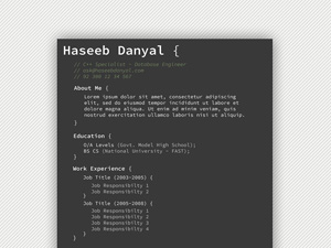 Programmer Professional Resume