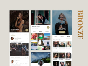 BRONZE UI Kit