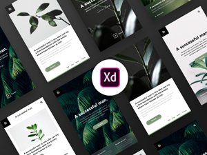 Free XD UI Kit