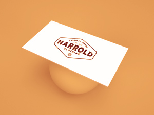 Business Card PSD Mockup