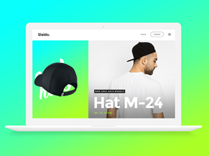 Saido Website Template