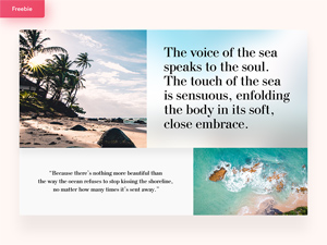Single Page Presentation Template For Adobe Xd