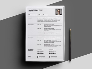 Light Resume Template