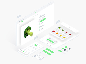 Fresh Food UIKit For Adobe XD