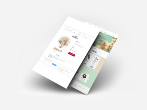 Ecommerce Website Template