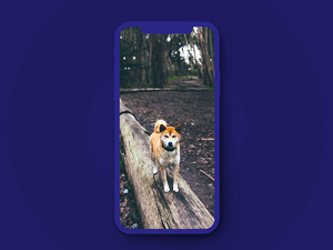 iPhone X Mockup PSD Download