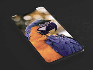 iPhone XS Mockup Download