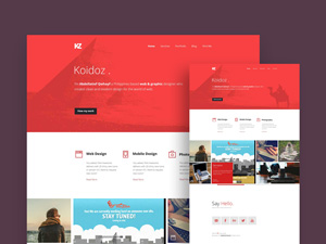 Koidoz Website Template
