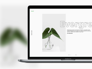 Outline – Free Adobe XD Template