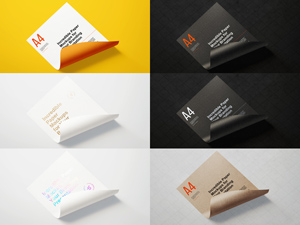 Paper/Poster Branding Mockup